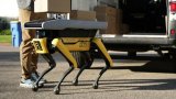 Spot, il robot a 4 zampe di Boston Dynamics, potrebbe diventare un assistente per i corrieri